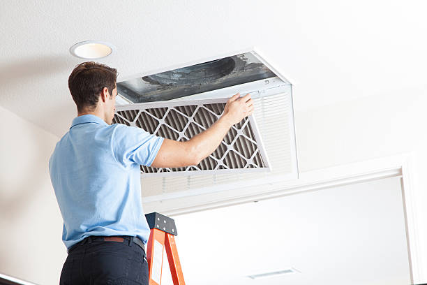 Best Affordable HVAC services  in Rogers, MN